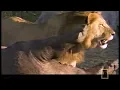 Ultimate Enemies