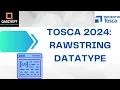 Tosca 2024 Latest Features DataType RawString Escape Special Characters