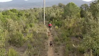 Bike and dogs Riells i Viabrea
