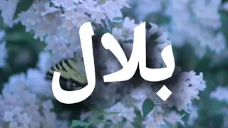 أغنية أسم بلال بلال 