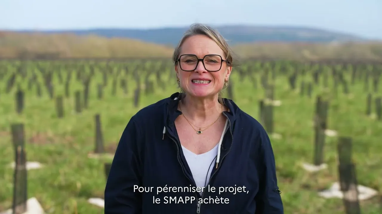 Forêt de Maubuisson