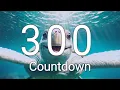 300 Seconds Timer with Relaxing Music and Alarm