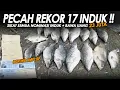 Download Lagu PECAH REKOR INDUK TERBANYAK !! SAPU BERSIH HAMPIR SEMUA NOMINASI BAWA PULANG PULUHAN JUTA || Am#627