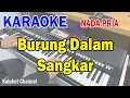Download Lagu BURUNG DALAM SANGKAR ll KARAOKE NOSTALGIA ll MAY SUMARNA ll NADA PRIA D=DO