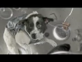Trentemøller: Moan (Official music video) (HD)
