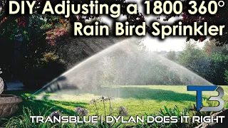 DIY Adjusting a Rain Bird 1800 360 Sprinkler Head Transblue Does it Right