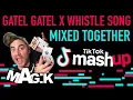 Download Lagu Gatel Gatel x Whistle Song | TikTok Viral Remix | Dance Mashup 2021