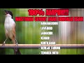 Download Lagu MASTERAN CENDET FULL TEMBAKAN LOMBA ISIAN MEWAH