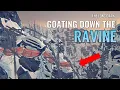 Download Lagu How to Goat Down the RAVINE (The Long Dark)