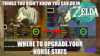 Download Upgrade your horse's Stats - The Legend of Zelda Tears of the Kingdom MP3