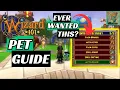 The Beginner s Guide to the Perfect Pet 2023 - Wizard101