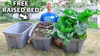How to Build a RAISED BED in a TOTE FREE Container Gardening