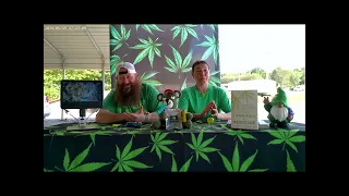 The Green Leaf Relief presents Strain of the Day Lemon Pound Cake