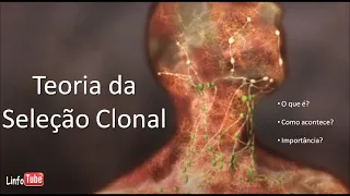 Teoria da seleção clonal