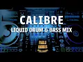 Download Lagu Calibre Classics - Liquid Drum \u0026 Bass Mix (Chill)