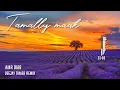 @AmrDiab  - Tamally Maak REMIX ( Deejay Tamer ft @Azmymagdyazmy ) عمرو دياب - تملي معاك ريميكس