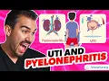 UTI vs Pyelonephritis UA Findings Priority Interventions and Top Meds for