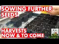 Harvests Extending Our Growing Season Needing to Net Sowing Further Seeds