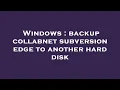 Windows backup collabnet subversion edge to another hard disk