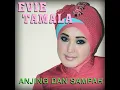 Anjing Dan Sampah