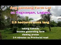 Download Lagu (P# 817) Ang gandang Farm 2.5 hectares @ 530/sqm in Pagsanjan, Laguna  for sale