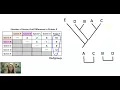 AP Bio Topic 7 9 Part 2 Constructing Phylogenetic Trees