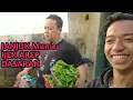 Download Lagu GREBEK LANGSUNG RUMAHE PENJUAL NASI GORENG NGAMUKAN VIRAL  TULUNGAGUNG