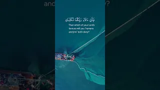 ي خ ر ج م ن ه م ا الل ؤ ل ؤ و ال م ر ج ان سورة الرحمن الآيات 22 25  ي خ ر ج م ن ه م ا الل ؤ ل ؤ و ال م ر ج ان سورة الرحمن الآيات 22 25
