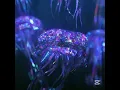 superstar - beach house (sped up)
