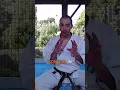 Download Lagu Mae-Geri is not a picture, Mae-Geri is a Process | #karate #martialarts #tutorial #yushingeiko #dojo