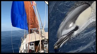 Becalmed in the Mediterranean | Sailing Wisdom [S4 ep59]