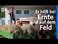 Download Lagu Aus Liebe zur Landwirtschaft: Betriebshelfer Patrick Lerchl | Zwischen Spessart und Karwendel | BR