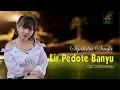 Download Lagu Syahiba Saufa - Lir Pedote Banyu (Official Music Video)
