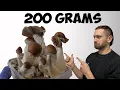 Download Lagu How I Magically Grew Golden Mushrooms in 12 Days! | Teacher Growth Kit Step by Step