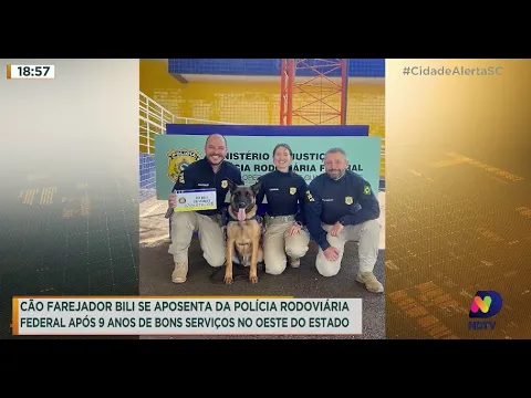 Cão farejador Bili se aposenta da PRF após 9 anos de bons serviços no Oeste do estado