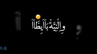 قلبى ساب والعقل باظ وخاب 