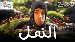 اقوى من البشر أضعف من السكر الدحيح 