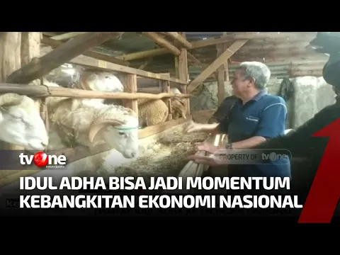 MUI: Hewan Kena PMK Ringan Boleh Dikurbankan