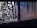 Blazing wildfires in Uttarakhand forests Forest fires part 2