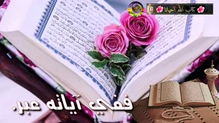 كتاب الله احيانا أنشودة رائعة جدا جدا جدا الموهبة السورية الطفل محمد الحميدي 