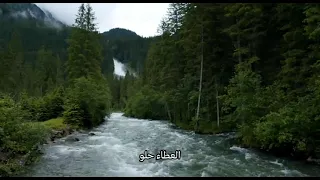 طيبك معهم ماهو غباء منك دندنها
