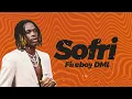 Fireboy DML - Sofri