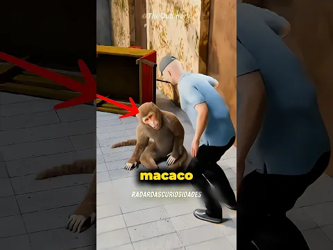 Ele treinou um macaco para roubar 😂 #curiosidades #fatoscuriosos #interesante