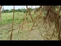 Download Lagu ఇక్కడ వర్షాలు ఏ పని చేయానియడం లేదు 