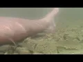Kayaking Adventures - 8