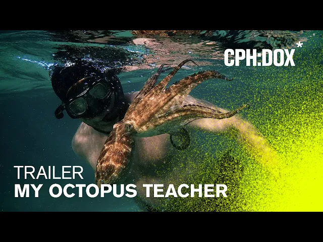 My Octopus Teacher Trailer | CPH:DOX 2020