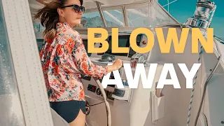 A VOYAGE FROM EAST TO WEST (exploring great barrier)