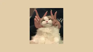 شيرين   انا مش بتاعت الكلام ده   بدون موسيقى                                                    دندنها