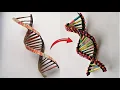 Download Lagu Cardboard DNA Model Project