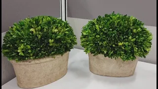 Realistic Faux Boxwood Plant - Looks Just Like the Real Thing